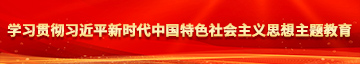 日逼视屏免费学习贯彻习近平新时代中国特色社会主义思想主题教育