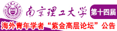 91后入抽插流水视频南京理工大学第十四届海外青年学者紫金论坛诚邀海内外英才！